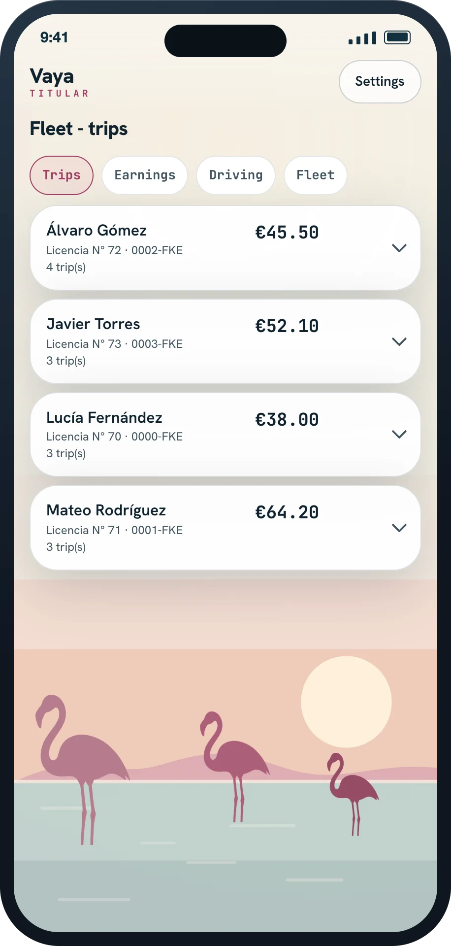 Owner screen on a phone with trips per driver